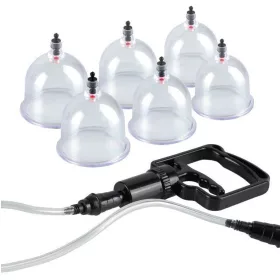 6 testes csésze
