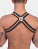 Harness Barcode Pride Edition