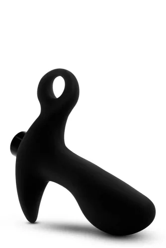 ANAL ADVENTURES PROSTATA-MASSAGER 01