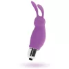 INTENZÍV – NYÚL ROGER LILAC