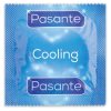 PASANTE - Climax 6 HEAT EFFECT + 6 HŰTÉS HATÁS / 12 EGYSÉG