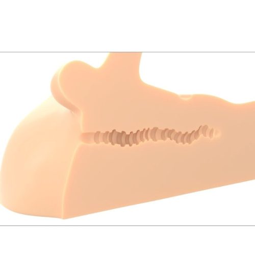 PDX PLUS - PERFECT RIDE PÉNISZ ÉS VÉGBÉLBÉL MASZTURBÁTOR