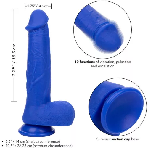 CALEXOTICS - ADMIRÁLIS KAPITÁNY REALISTA DILDO VIBRÁTOR KÉK