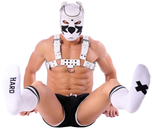 Hard SneakXX – premium high socks in a white-black combination