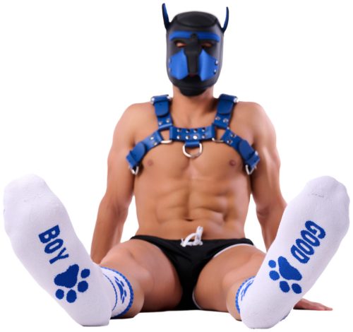 Good Boy Socks – premium white-blue socks