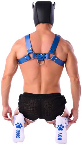 Good Boy Socks – premium white-blue socks