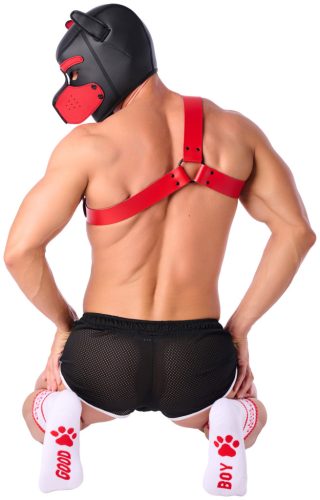 Good Boy socks – in a stylish white-red combination