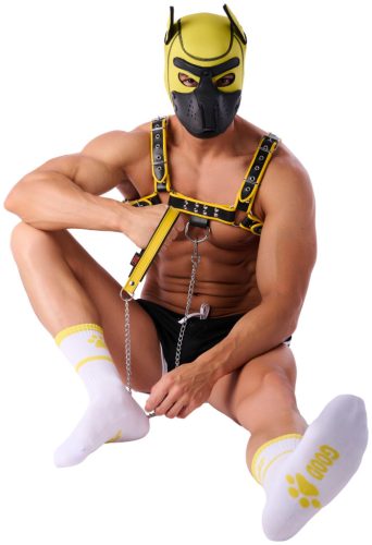 Good Boy Socks – white and yellow premium accessory