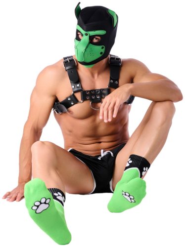 Paw Kinky – sensual green dog socks