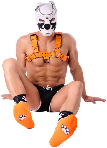 Paw Kinky Puppy – sensual orange socks