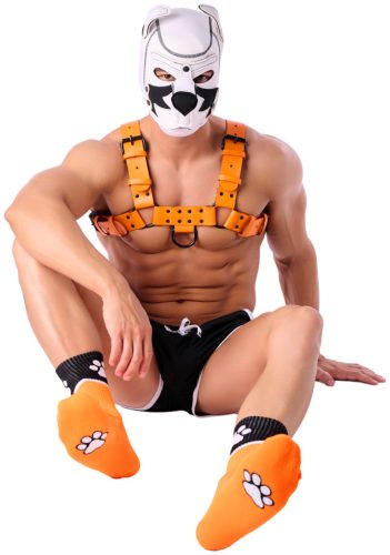 Paw Kinky Puppy – sensual orange socks