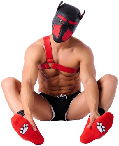 Paw Kinky Puppy – sensual red socks