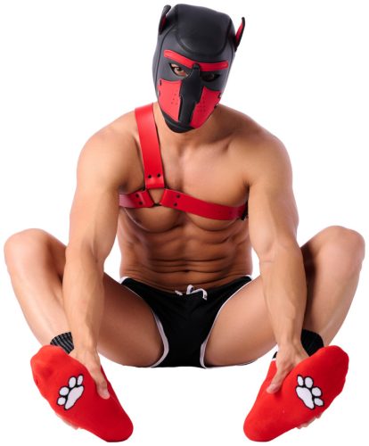 Paw Kinky Puppy – sensual red socks