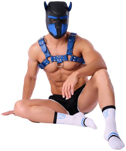 Suck University Socks – stylish socks for passion