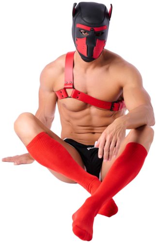 COLORS SneakXX – red high socks for premium comfort