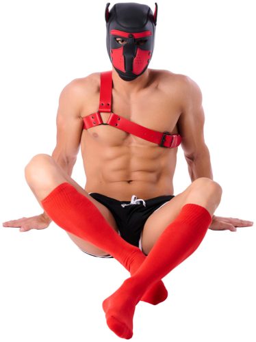 COLORS SneakXX – red high socks for premium comfort