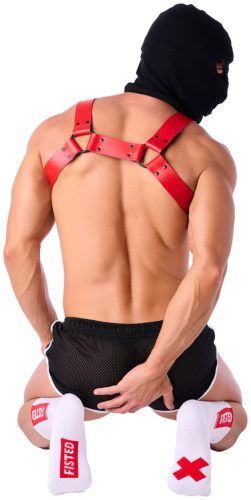 Stripe Fisted SneakXX – stylish, premium socks