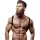 FETISH – Men's Ecological Leather Back Tie Harness