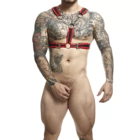 MOB - unique red harness with chains, universal size