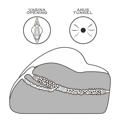 Streetgirl's #3 Schwarz