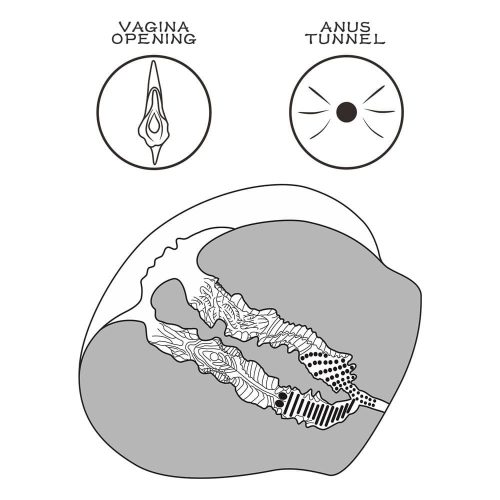 Streetgirl's #12 Schwarz