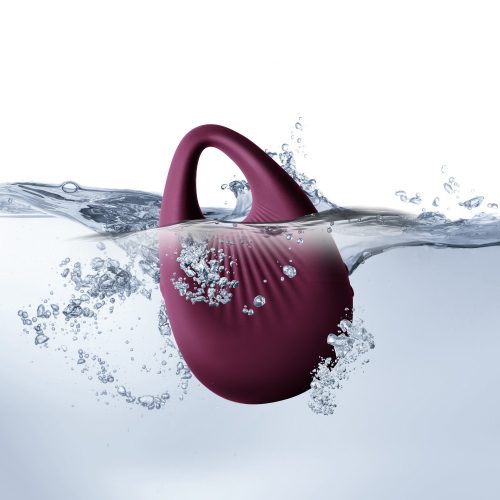 Climaximum – Koax-Burgund